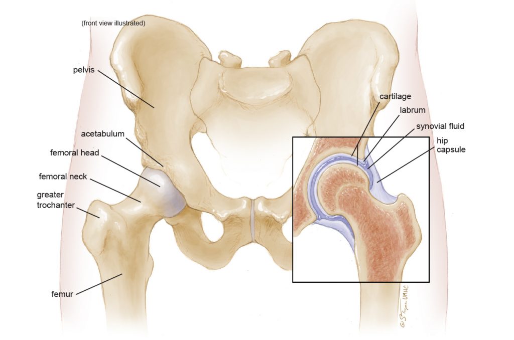 Common Hip Problems and How to Deal With Them